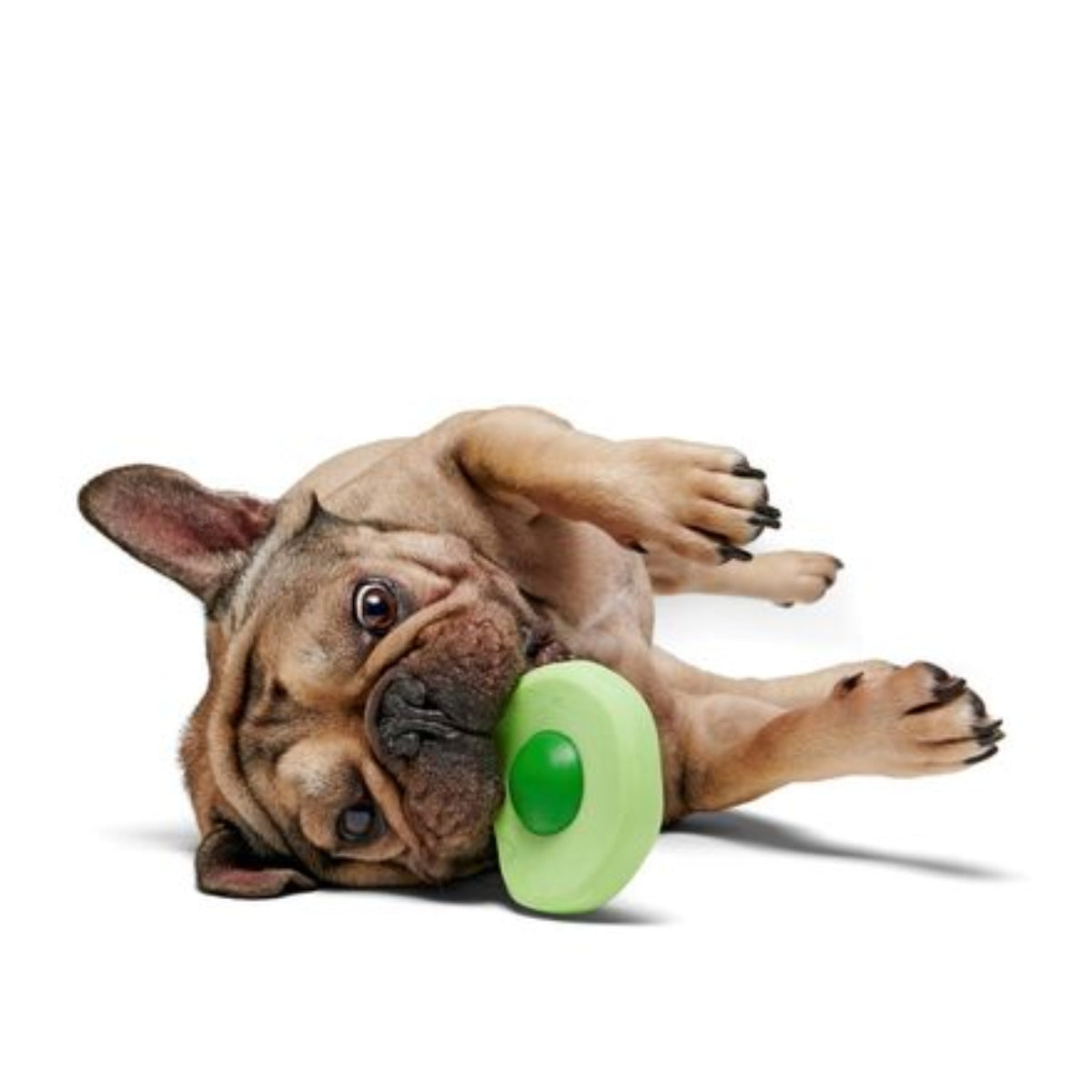 Green Egg Durable Super Chewer Dog Toy