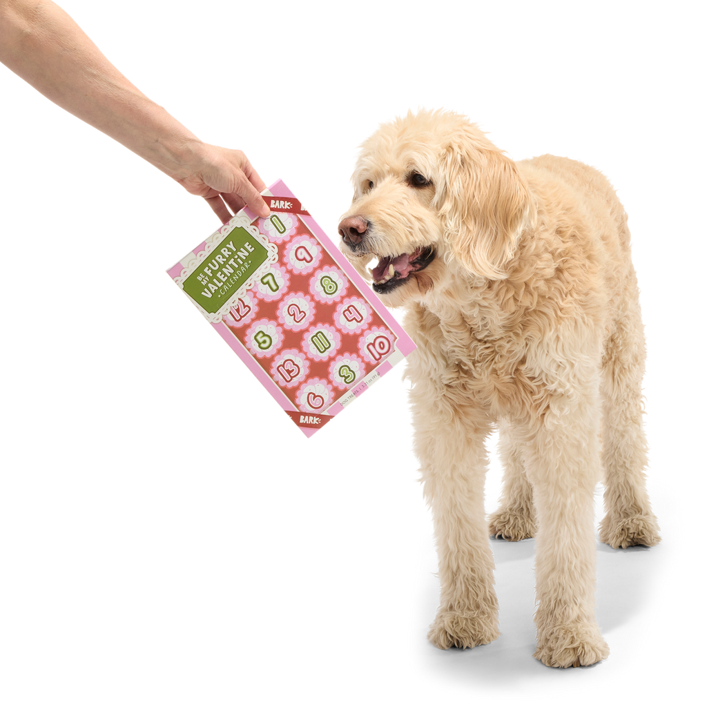 Be My Furry Valentine Treat Calendar Vegetarian Hard & Crunchy Dog Treats