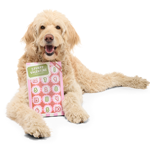 Be My Furry Valentine Treat Calendar Vegetarian Hard & Crunchy Dog Treats