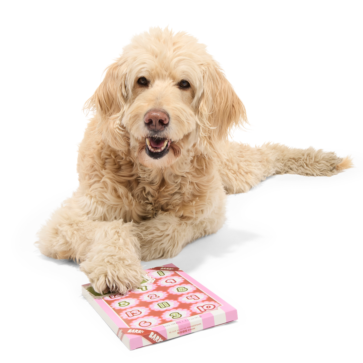 Be My Furry Valentine Treat Calendar Vegetarian Hard & Crunchy Dog Treats