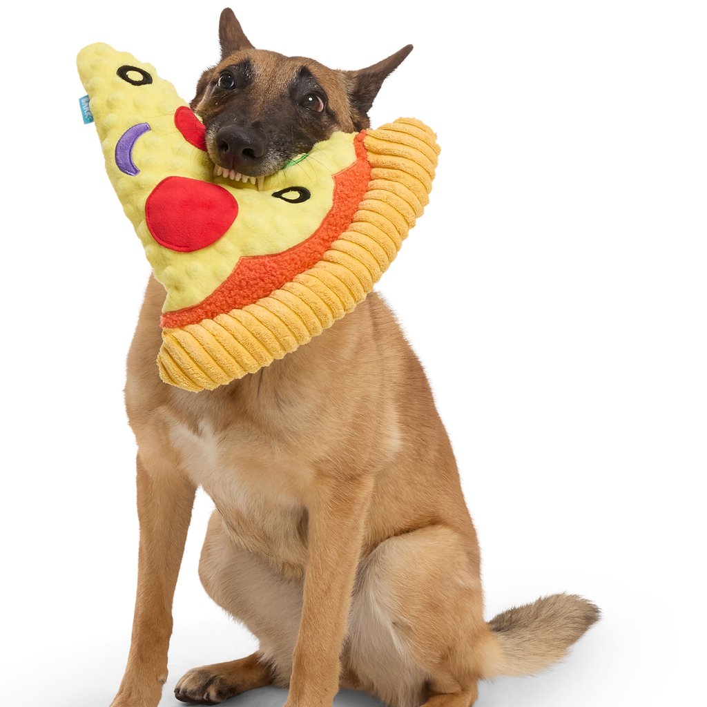 Supersize Slice Plush Extra-Large Dog Toy